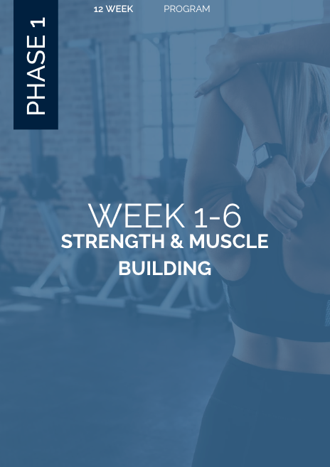 Beginner’s Muscle Builder