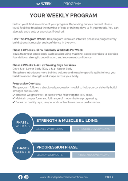 Beginner’s Muscle Builder